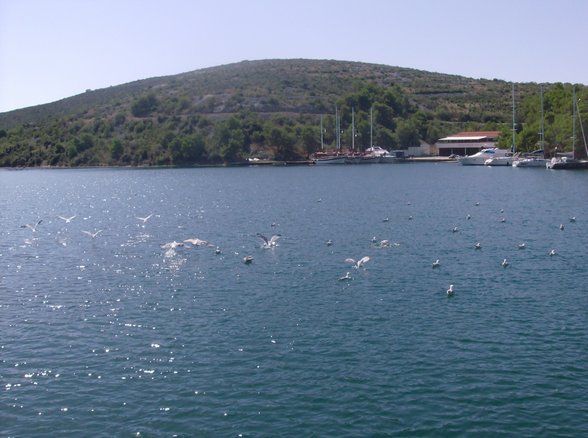 segeltour croatia 2007 - 