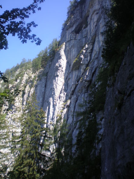 Camping in de Büsch - Hallstatt  - 