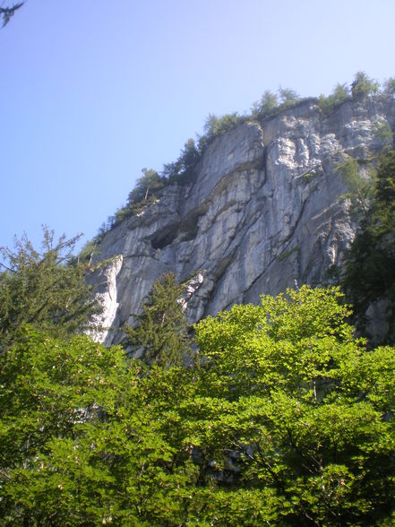 Camping in de Büsch - Hallstatt  - 