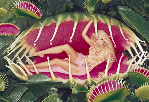 David LaChapelle - 