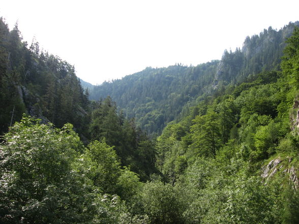 [Traunstein 21.6.08...sehr schön] - 