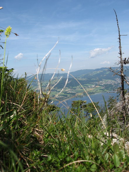 [Traunstein 21.6.08...sehr schön] - 