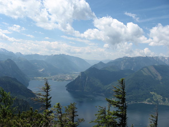 [Traunstein 21.6.08...sehr schön] - 