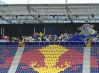 fia richtige Red Bull Fans - 