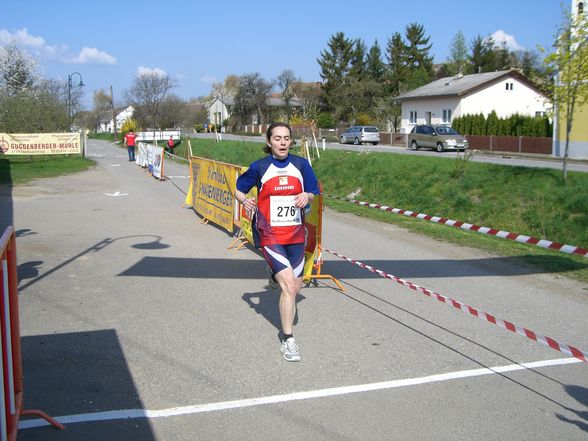 Laufcup 2008 - 