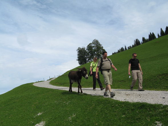 Spätsommer und Herbst - 