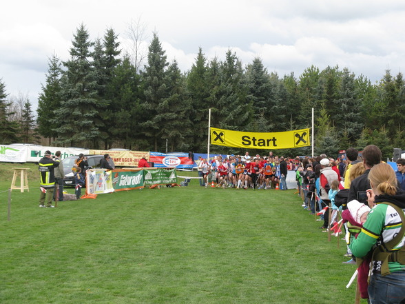 8. Frühlingslauf + andere Rennereien - 