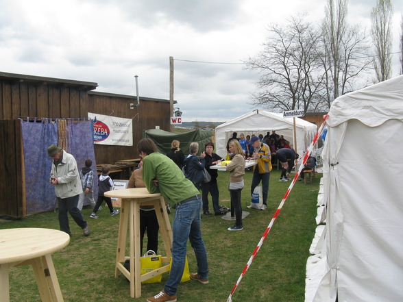 8. Frühlingslauf + andere Rennereien - 