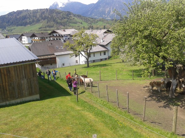 Ausflüge, Urlaube - 