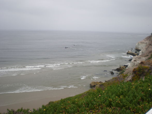 pismo beach - 