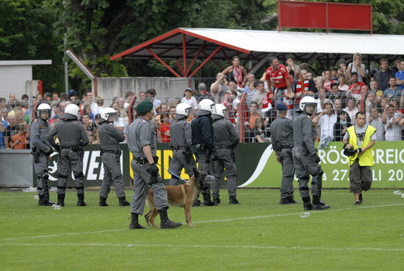 Vorwärts Steyr  - 