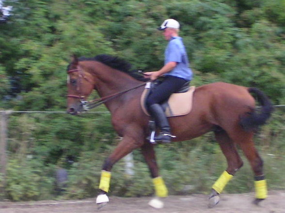 Reiten-reitstunde - 