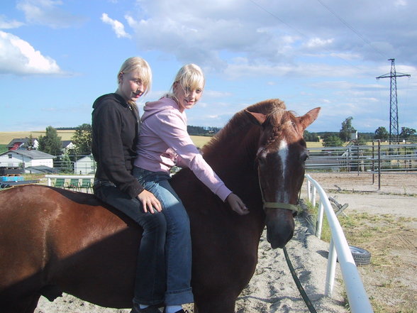 Reiten-reitstunde - 