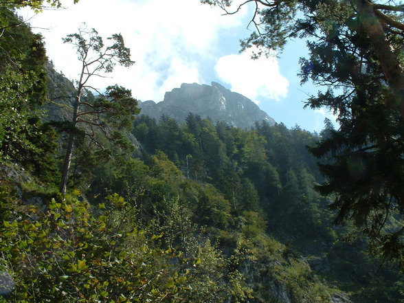 Traunstein - Herndlersteig - 