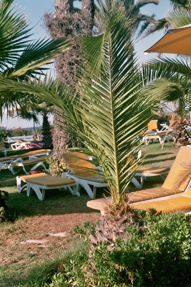 Urlaub_Tunesien - 