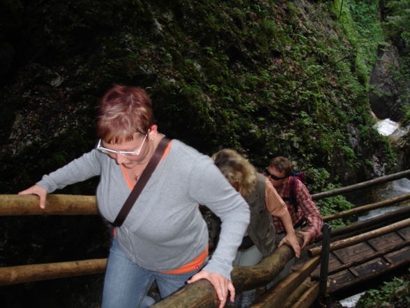 Vogelgesang Klamm 2009 - 