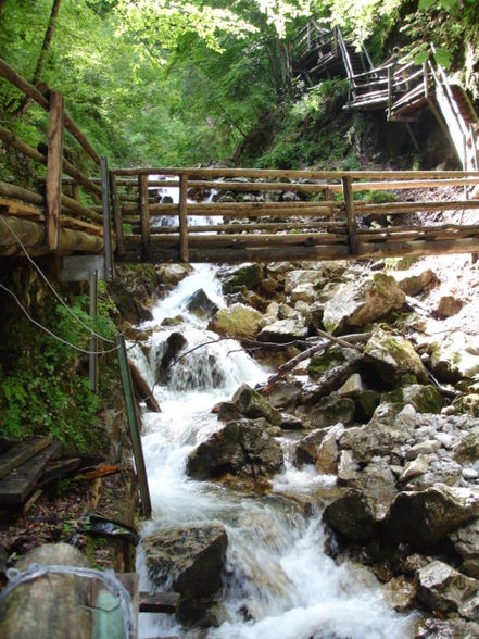 Vogelgesang Klamm 2009 - 