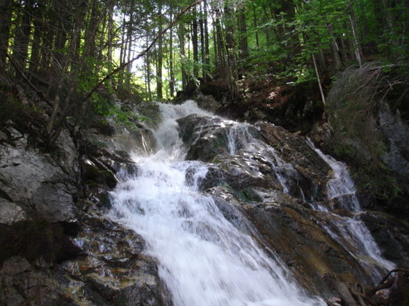 Vogelgesang Klamm 2009 - 