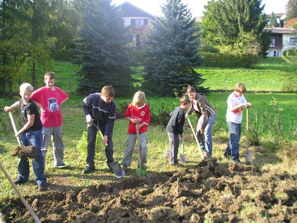 Neues von den Burschen - 