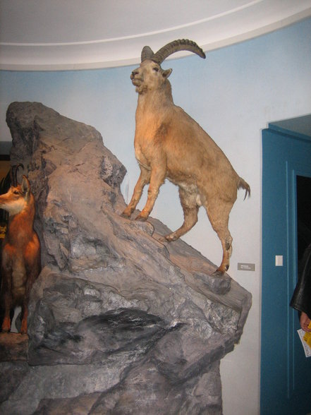 Ausflug ins Haus der Natur in Salzburg - 