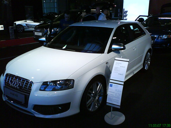 Polo 6N - 