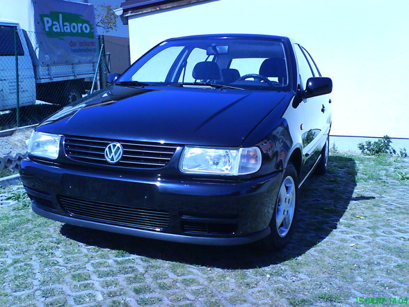 Polo 6N - 