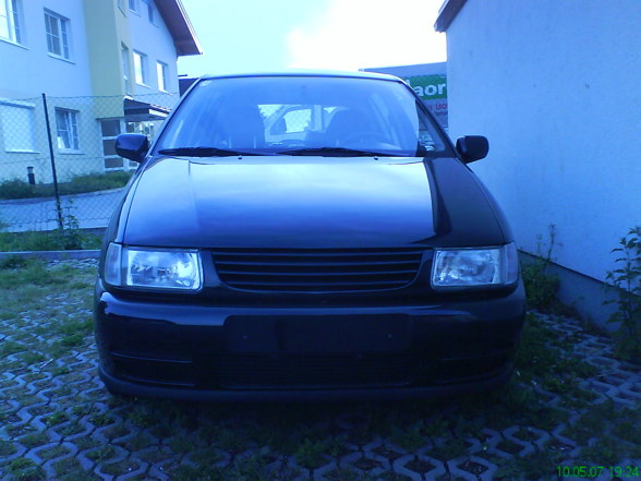 Polo 6N - 