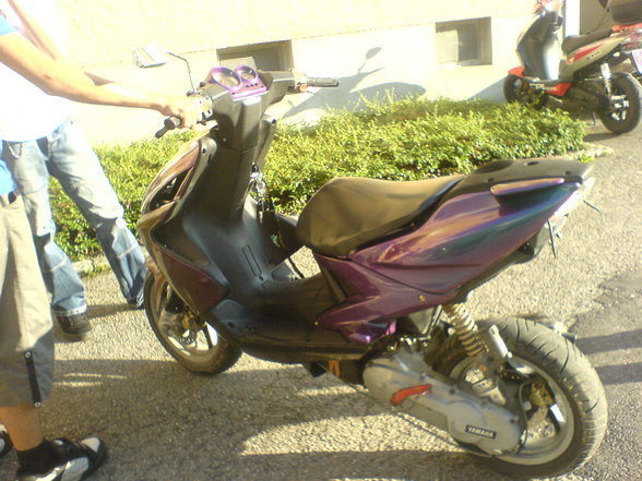 fotos - 
