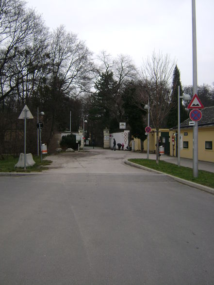 Tierpark Schönbrunn 2009 - 