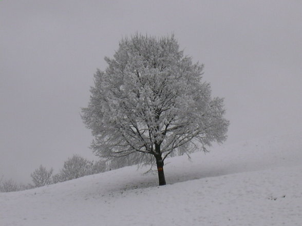 landschaftsbilder - 