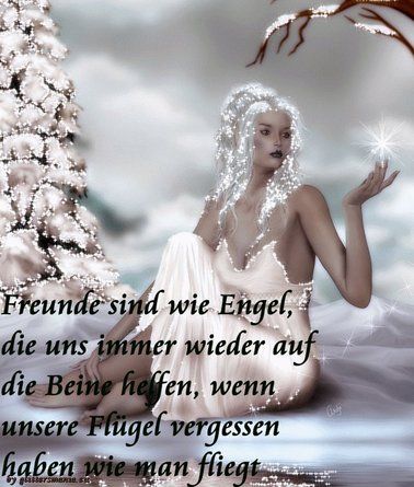 Freunde - 