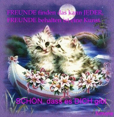 Freunde - 