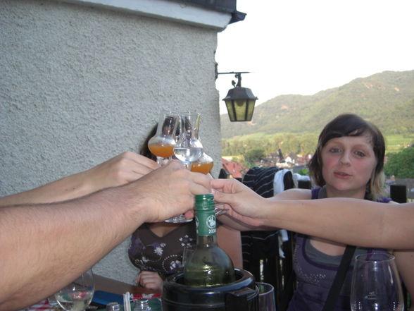 Wachau 2009 - 