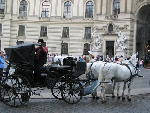 Trip to Vienna 08 - 