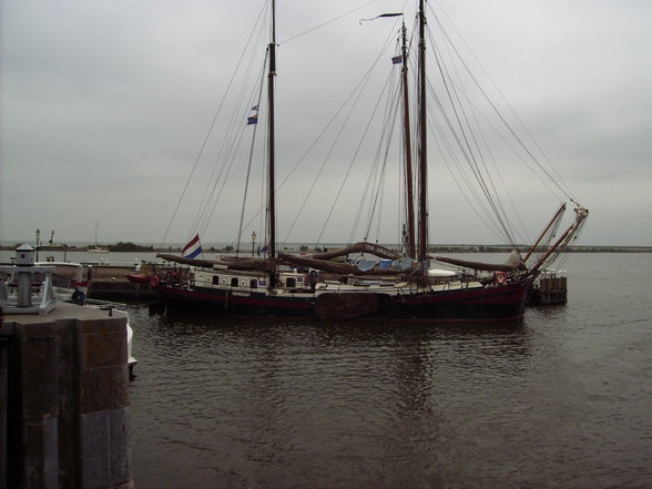 Hollandreise - 