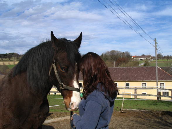 Meine Lieblinge  - 