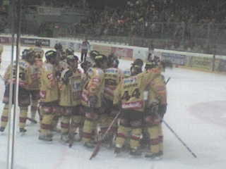 vienna capitals - 