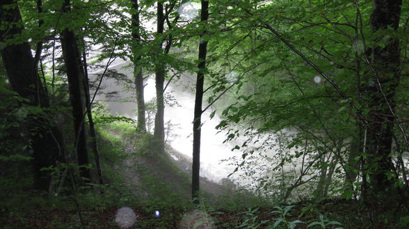 Hochwasser bei meinen Großeltern 28.6.09 - 