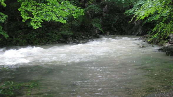 Hochwasser bei meinen Großeltern 28.6.09 - 