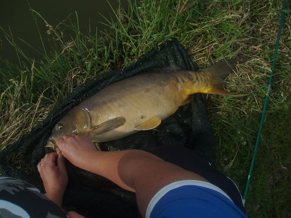 carp hunter! - 