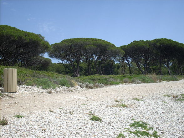 * Cannes 2007 * - 