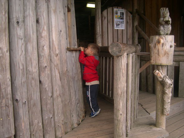 Urlaub im mühlviertel 2009 - 