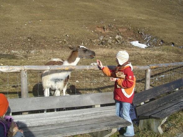 2008_02_17_Lärlkogel - 