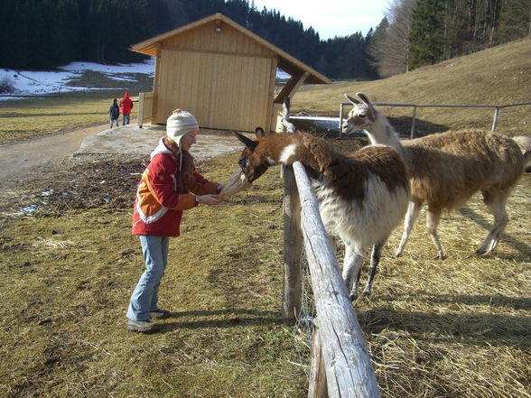 2008_02_17_Lärlkogel - 