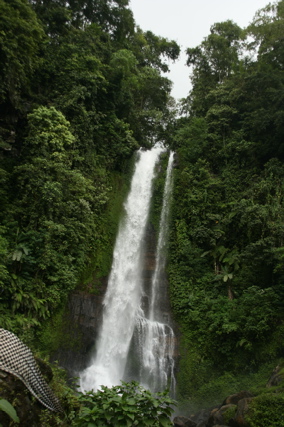 Die grüne Insel - BALI 2007 - 