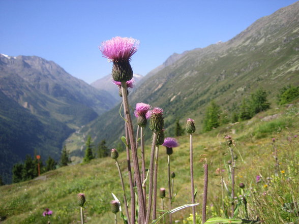 MTB-Tour Sölden - 