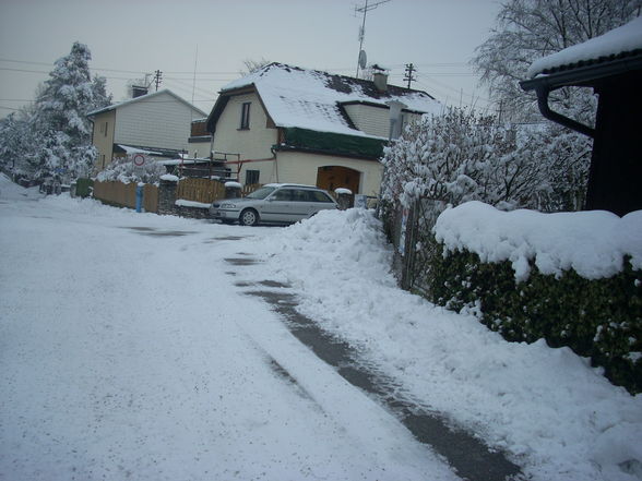 schnee - 