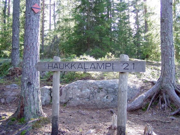 Camping in Nuuksio - 