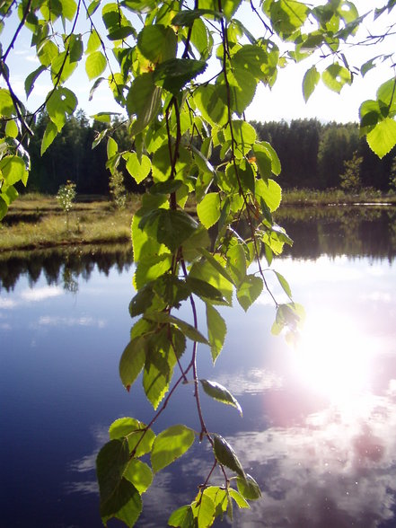 Camping in Nuuksio - 