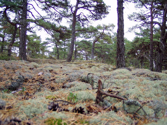 Tervetuloa on Utö - 